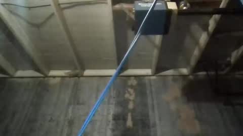 Snapshot of leo199984 chatting on 27, 11, 2025 leo199984 online show from 27, 11, 2025