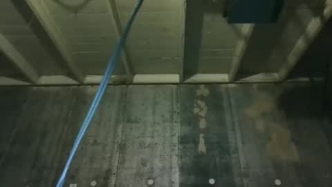 leo199984 online show from 5, 2, 2026