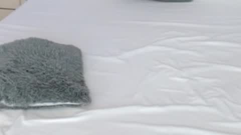 LUCY online show from 17, 2, 2026