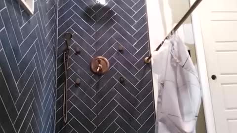 letsrock3898 online show from 4, 12, 2025