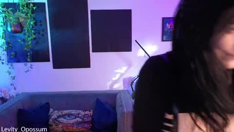 Snapshot of levity_opossum chatting on 26, 11, 2025 Levity online show from 26, 11, 2025