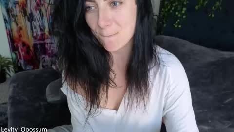 Levity online show from 16, 1, 2026