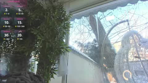 lexi_storm online show from 12, 1, 2026