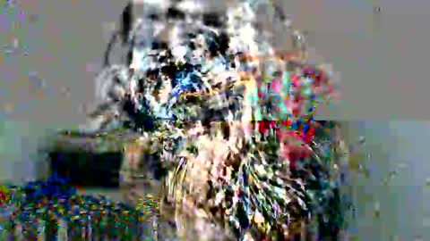 Snapshot of ley_blus1 chatting on 17, 12, 2024 lolita online show from 17, 12, 2024