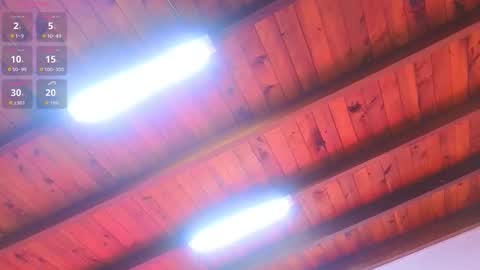 Lia Cox online show from 1, 3, 2026