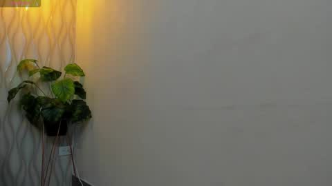 LIAM KLEIN online show from 12, 2, 2026