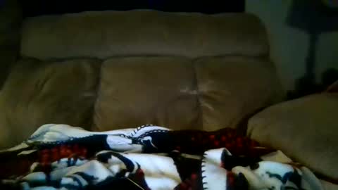 lickeypus online show from 15, 2, 2026