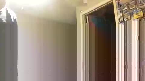 Snapshot of lie2ne chatting on 16, 11, 2025 lie2ne online show from 16, 11, 2025