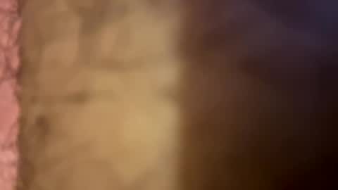 lightbulb444555 online show from 17, 9, 2025