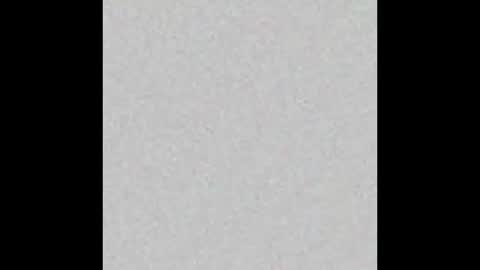 Snapshot of liily_foox chatting on 15, 11, 2025 lily online show from 15, 11, 2025