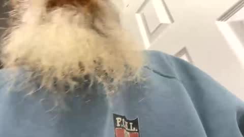 lilchaps69 online show from 4, 2, 2026