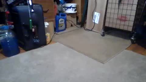 Snapshot of lildman420 chatting on 14, 3, 2026 lildman420 online show from 14, 3, 2026