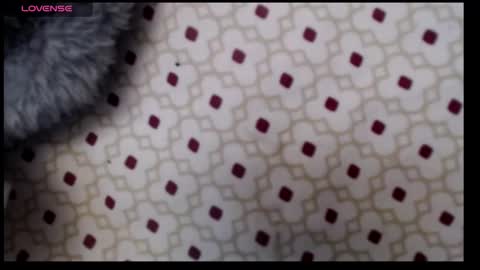 lildragon069 online show from 7, 12, 2024