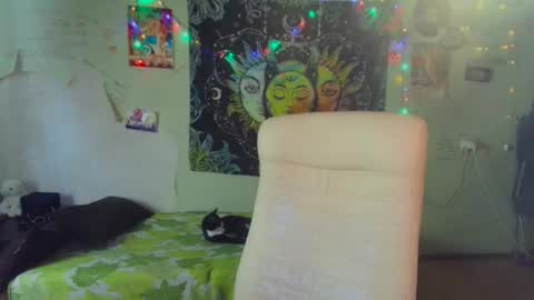 Snapshot of lileyfoxxx chatting on 19, 3, 2026 Lil online show from 19, 3, 2026