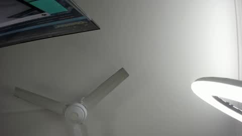 Lili  Marcus online show from 3, 1, 2025