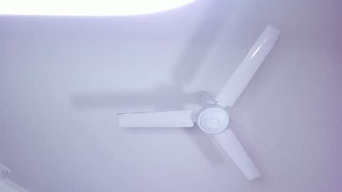 Lili  Marcus online show from 4, 1, 2025