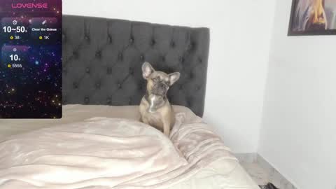 Snapshot of lilith_parker chatting on 9, 2, 2025 Lilith Parker online show from 9, 2, 2025