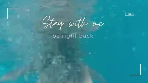 Lily online show from 18, 2, 2026