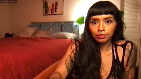 Snapshot of lily_henry chatting on 5, 11, 2025 Little Lily online show from 5, 11, 2025