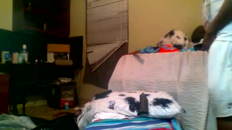 Snapshot of lincolnlongdick chatting on 5, 1, 2025 Richie Rich online show from 5, 1, 2025