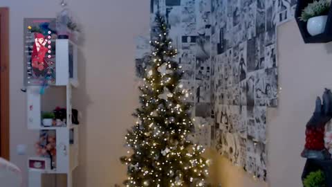 Lina online show from 14, 12, 2024