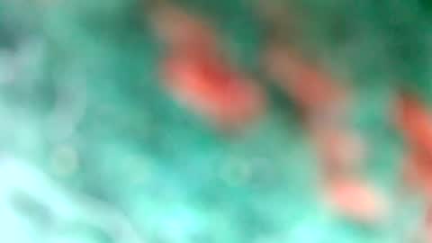 Snapshot of lionelearthquake chatting on 11, 3, 2025 lionelearthquake online show from 11, 3, 2025