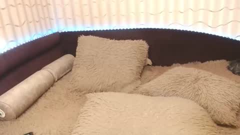 LIpsAddiction online show from 20, 10, 2025