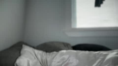 Litlaney online show from 11, 1, 2026