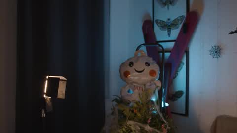 Anita B-day stream on 7TH DEC  online show from 28, 10, 2025