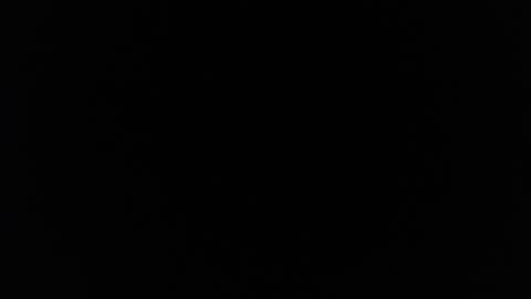 little_bunny_v online show from 18, 2, 2026