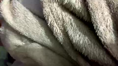 Snapshot of little_sissy_wendy chatting on 28, 2, 2025 little_sissy_wendy online show from 28, 2, 2025