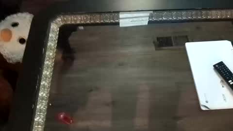 Snapshot of ljandcherry chatting on 1, 11, 2025 LjCherry online show from 1, 11, 2025