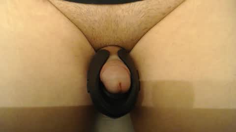 Snapshot of lobotomizer chatting on 14, 12, 2025 lobotomizer online show from 14, 12, 2025