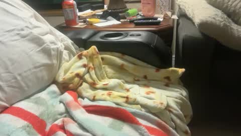 Snapshot of logical12345 chatting on 1, 12, 2025 logical12345 online show from 1, 12, 2025