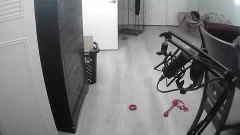 lohangwang69 online show from 15, 2, 2026