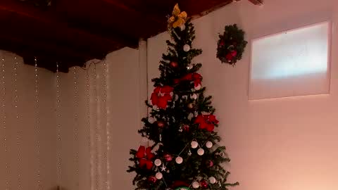 mara online show from 6, 12, 2024