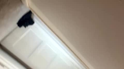 longlegs988 online show from 9, 2, 2026