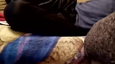 looking4bush online show from 13, 11, 2025