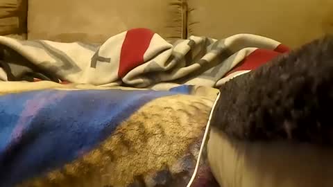 looking4bush online show from 19, 1, 2026