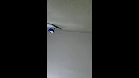 2791 3D online show from 8, 1, 2026