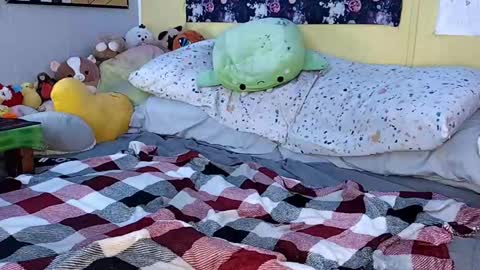 Lord Spun Fun online show from 23, 2, 2025