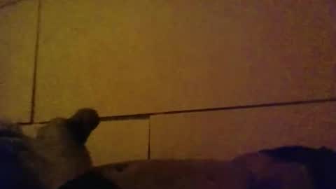 lovebignip online show from 16, 2, 2026