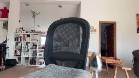 Loveisperfect online show from 17, 1, 2026