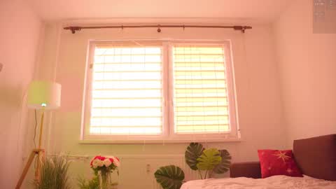 Nelly online show from 18, 11, 2025