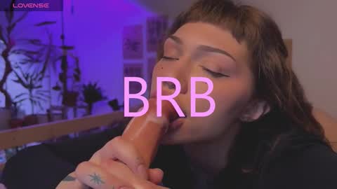 Elsa online show from 8, 11, 2025