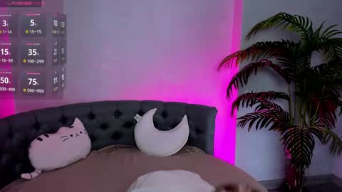 Lolly online show from 12, 12, 2024