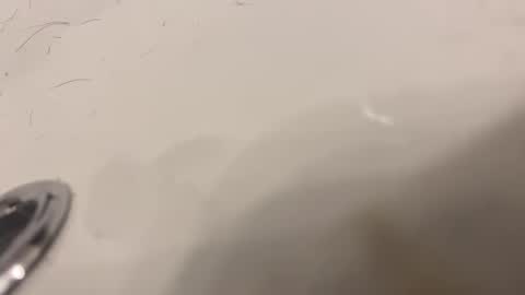 lovetoplayinmnwithu online show from 30, 1, 2025