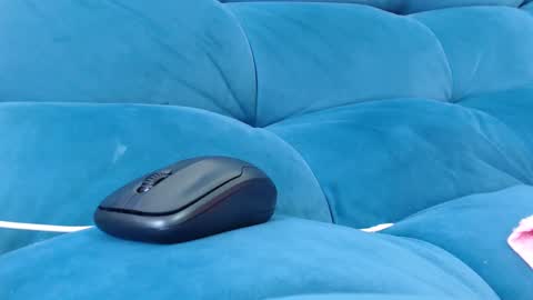 cutelucy 3 online show from 27, 12, 2024