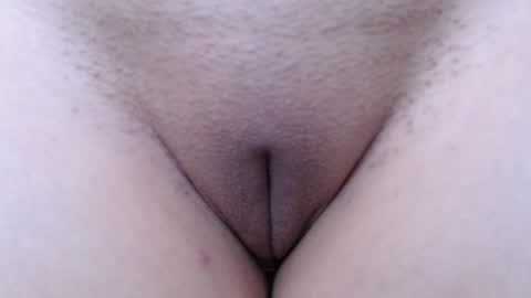 cutelucy 3 online show from 10, 1, 2025