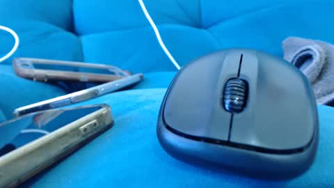 cutelucy 3 online show from 19, 1, 2025